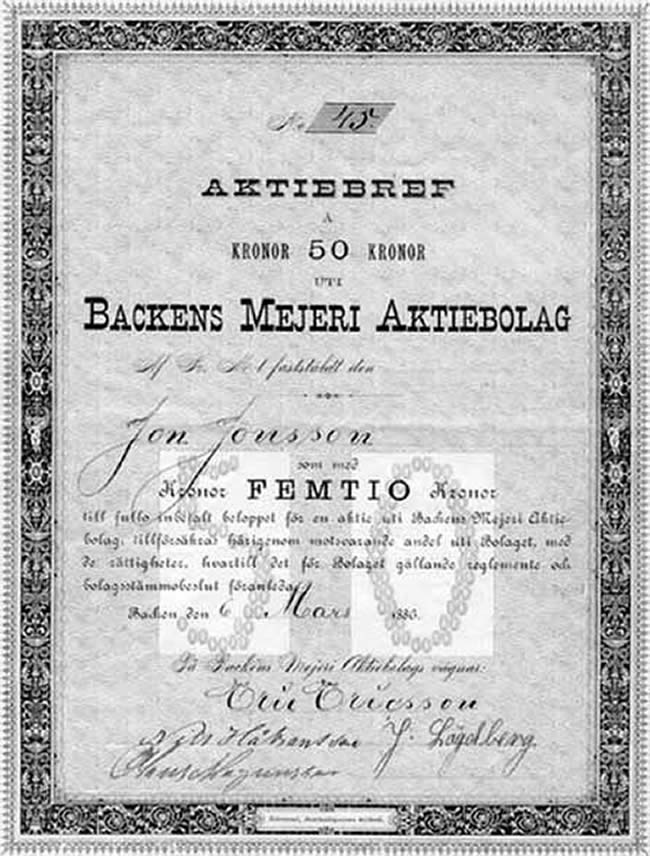 Aktie mejeri